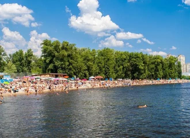 Людина в інвалідному візку сидить за робочим столом і працює за комп’ютером. Вона одягнена у світло-блакитну сорочку, має волосся до плечей. На столі — два монітори з відкритими документами чи таблицями, а також акуратно складені папки й матеріали. Сцена демонструє приклад інклюзивного робочого середовища, де люди з інвалідністю ефективно залучені до професійної діяльності.