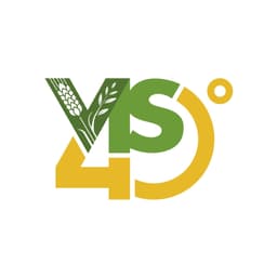 Volontariato Internazionale per lo Sviluppo (VIS) logo